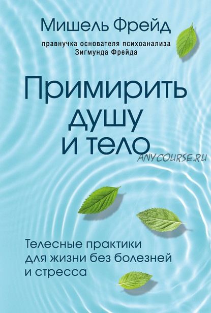 Примирить душу и тело. Телесные практики для жизни без болезней и стресса (Мишель Фрейд)