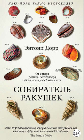 Собиратель ракушек (Энтони Дорр)