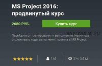 MS Project 2016: продвинутый курс (Екатерина Нечипоренко)