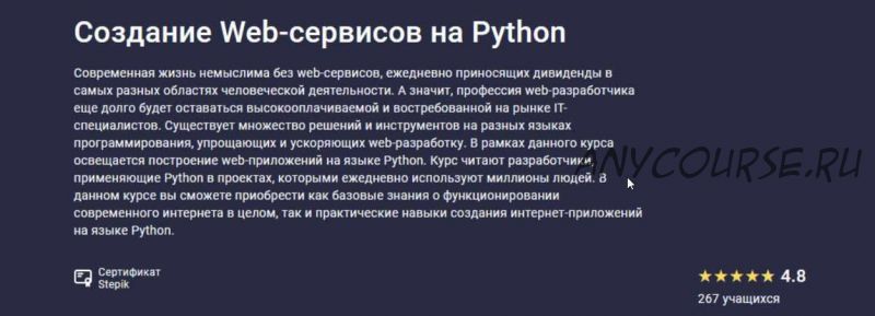 [stepik.org] Создание Web-сервисов на Python. 2021 (Никита Пестров, Алексей Партилов, Тимур Абрамов, Александр Опрышко)