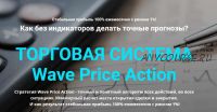 [Мой Эверест] Торговая система Wave Price Action. Тариф Максимальный (Дмитрий Эйлер)