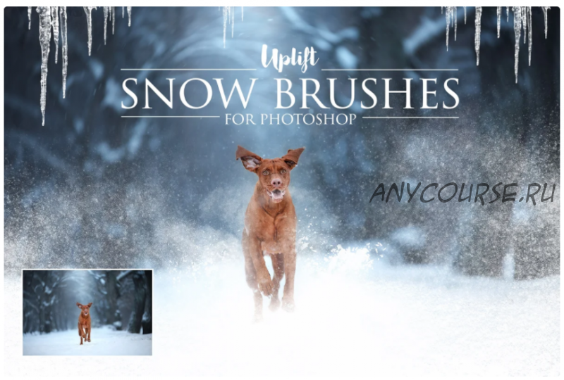 25 Snow Brushes for Photoshop. Кисти для photoshop с эффектом зимы