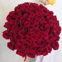 101 красная роза Эксплорер 70 см