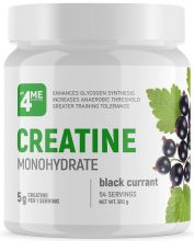 Креатин моногидрат Creatine Monohydrate 300 г 4Me Nutrition Черная смородина