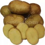Kartofel-semennoj-Arijel-2-kg-superelita