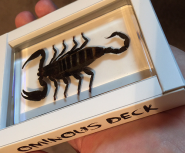 Ominous Deck (Scorpion) by Diamond Jim Tyler