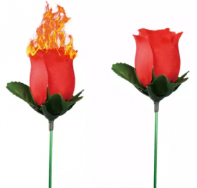 Факел превращается в розу (цвет бутона на выбор)