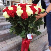 101 красная и белая роза (Эквадор 70см)