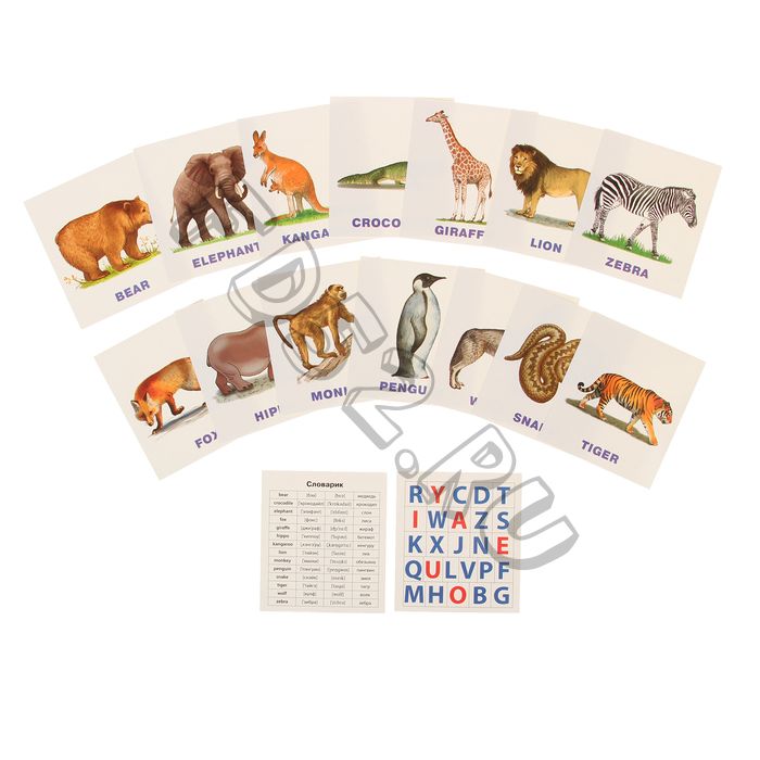 Обучающие карточки English «Зоопарк»