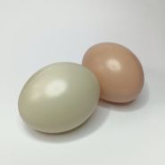 Яйцо куриное (пластик)