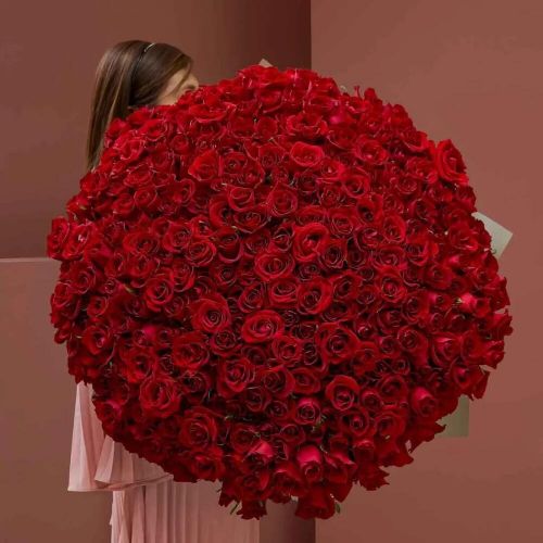 Букет из 301 красной розы Эквадор
