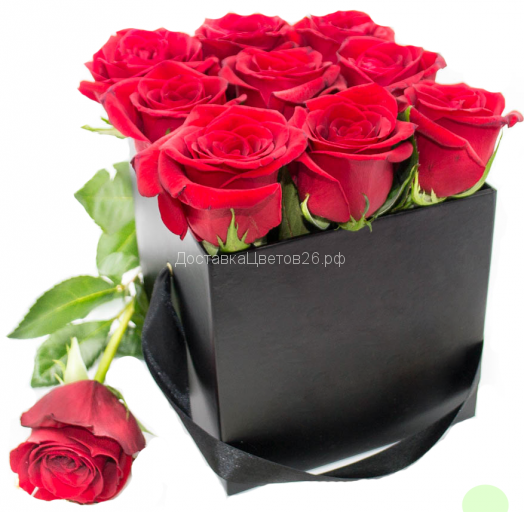 Куб с красными розами