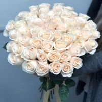 Белые розы Эквадор (от 11 шт)