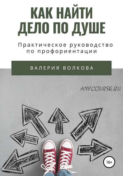 Как найти дело по душе. Практическое руководство по профориентации (Валерия Волкова)