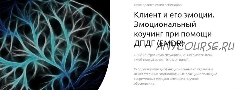 Клиент и его эмоции. Эмоциональный коучинг при помощи ДПДГ (EMDR) (Андрей Шаповалов)