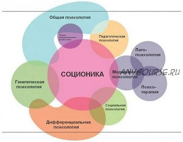 Курс по соционике (Алёна Буточникова)