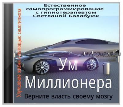 Ум миллионера. Верните власть своему мозгу (Светлана Балабуюк)