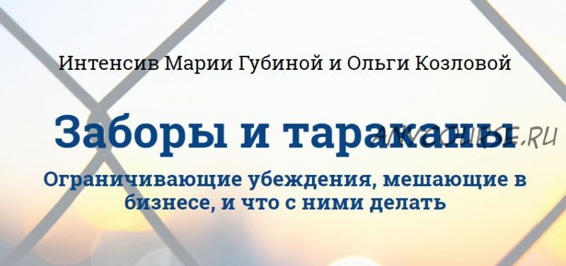 Заборы и тараканы. Ограничивающие убеждения, мешающие в бизнесе, и что с ними делать (Мария Губина)