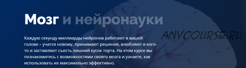 [4Brain] Мозг и нейронауки