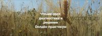 [Институт открытого поля] Чтение поля, диагностика и решения. Пакет Только теория (Елена Веселаго)