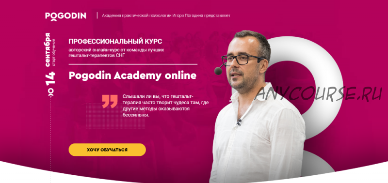 [Pogodin Academy] Методология гештальт-терапии. Пакет «Standart» (Игорь Погодин)