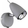 Спот Arte Lamp Regista A1966AP-1GY Серый, Серый / Арт Ламп