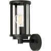 Светильник Настенный Уличный Arte Lamp Toronto A1036AL-1BK Черный, Прозрачный / Арт Ламп