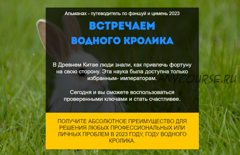 Путеводитель Фэншуй и Ци Мень. Год Водного Кролика 2023. Пакет VIP (Нинель Смолина)