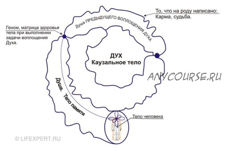 [Lifexpert] Инфокоррекция программ прошлых жизней (Вячеслав Губанов, Дмитрий Губанов)