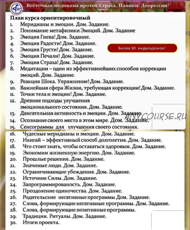 [Познай себя!] Восточная медицина против Страха, Паники, Депрессии. Вариант 1 (Владимир Заворотный)