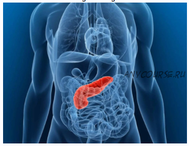 [Sigh Energy] Исцеление и регенерация поджелудочной железы