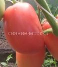 Tomat-Rozovye-Stakany-zip-Myazina