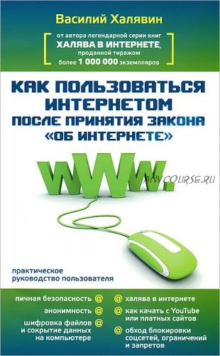 Как пользоваться Интернетом после принятия закона 'Об Интернете' (Василий Халявин)