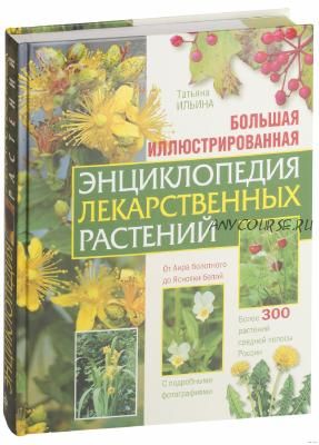 Лекарственные растения. Большая иллюстрированная энциклопедия (Татьяна Ильина)