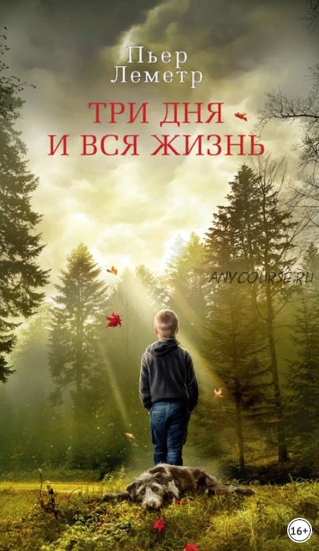 Три дня и вся жизнь (Пьер Леметр)