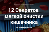 12 Секретов мягкой очистки кишечника (Елена Шумилова)