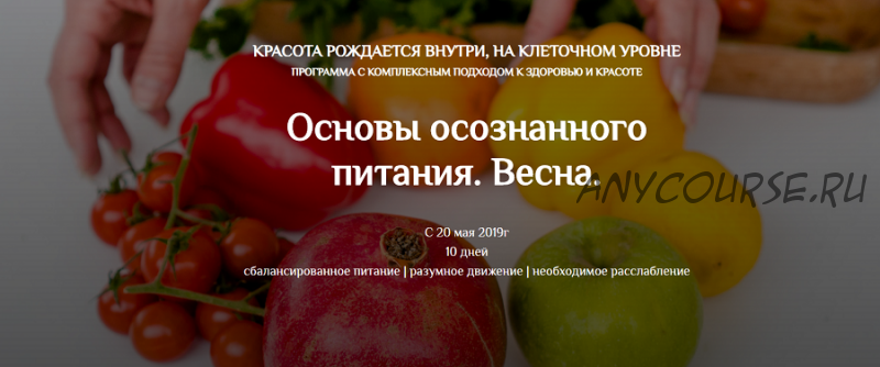 Основы осознанного питания. Весна. Пакет «Вместе со всеми» (Екатерина Андреева)