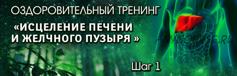 Тренинг 'Стихия дерева'. Шаг №1. Исцеление печени и желчного пузыря. Блок ВИП (Владимир Осипов)