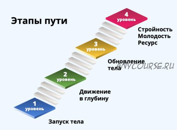 Твой путь к стройности и молодости. 1 месяц (Светлана Рахманова)