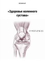Здоровье коленного сустава (Дмитрий Путылин)