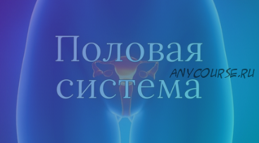 [AnatomyEducation] Модуль 7. Половая система (Эдгар Кафаров)