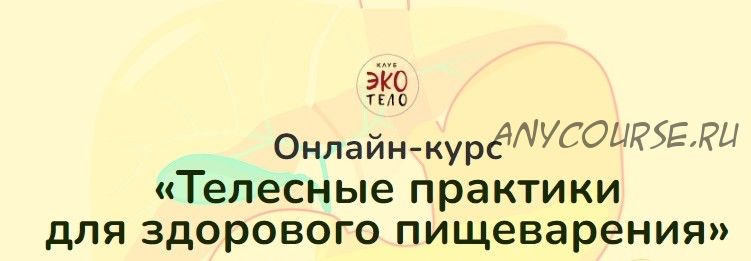 [Экологичное тело] Телесные практики для здорового пищеварения (Аркадий Сыркин, Наиля Самсонова)