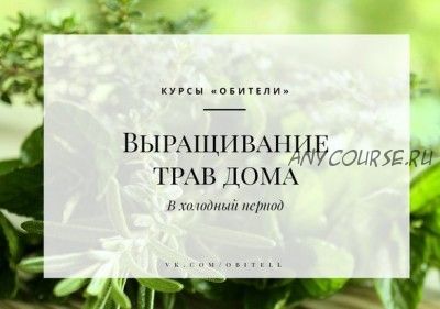 [Обитель] Выращивание трав дома в холодный период, 2017 (Елена Невретдинова)