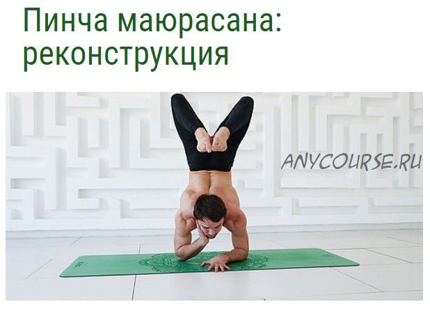 [YantaYoga] Пинча маюрасана: реконструкция (Кирилл Калуцких, Михаил Швецов)