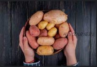 Бизнес на продаже картофеля (Петр Франтов)