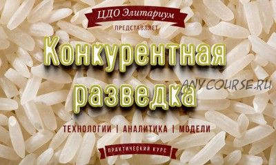 [Элитариум] Конкурентная разведка (Валерий Романов)