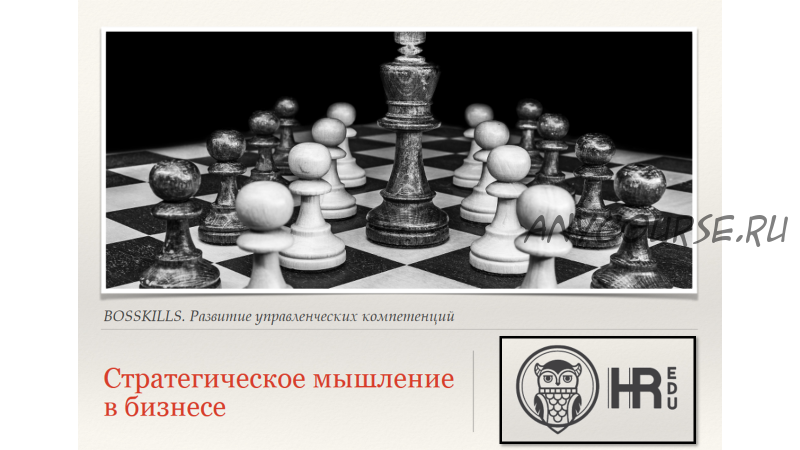 [HRedu] Управление организацией. Стратегическое мышление в бизнесе (Александр Стома)