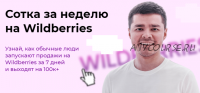 [Like центр] Сотка с Аязом, 6 поток, ниша - wildberries. Тариф Бизнес (Аяз Шабутдинов)