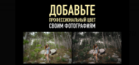 Как сочетать цвета в фотографиях (Александр Заморин, Дмитрий Рогожкин)