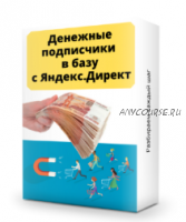 Денежные подписчики с Яндекс.Директ (Ильнур Юсупов)